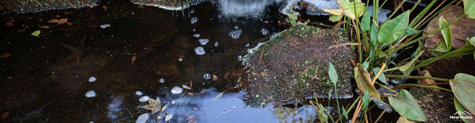Jakie są koszty studni głębinowej na działce?