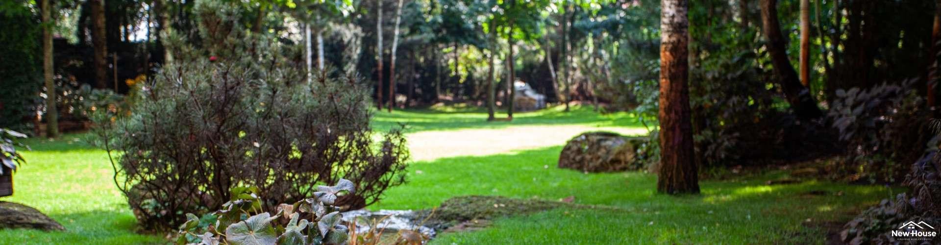 Jak sprawdzić czy działka jest budowlana?