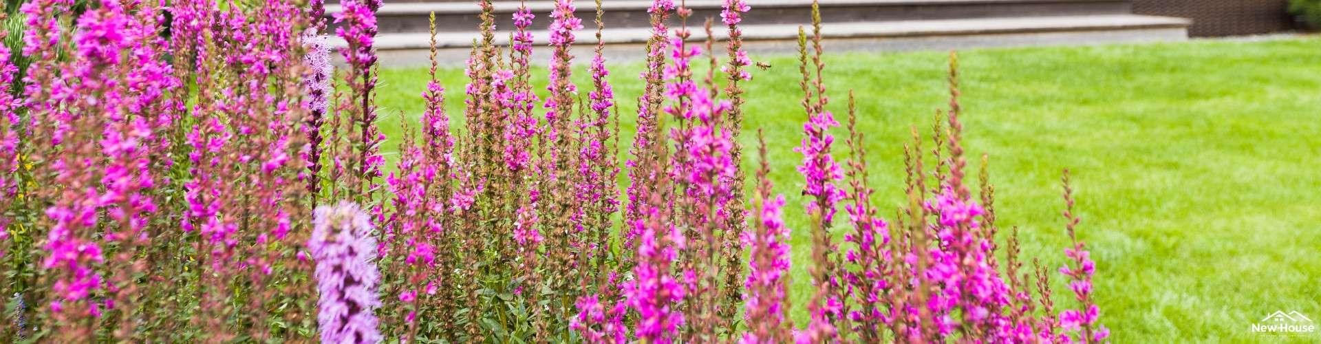 Reakcja na ogień i odporność ogniowa: Jak wybrać bezpieczne materiały budowlane?