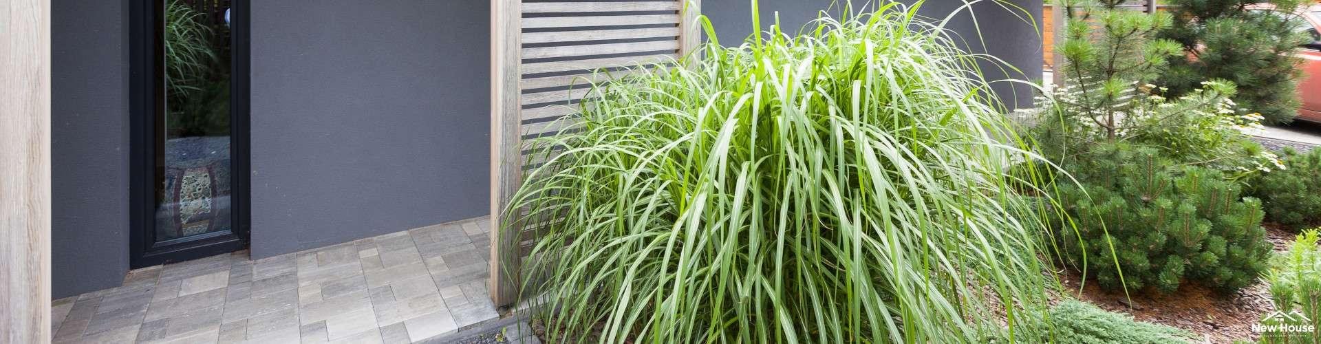 Czy warto zainwestować pieniądze w działkę budowlaną z pozwoleniem na budowę?