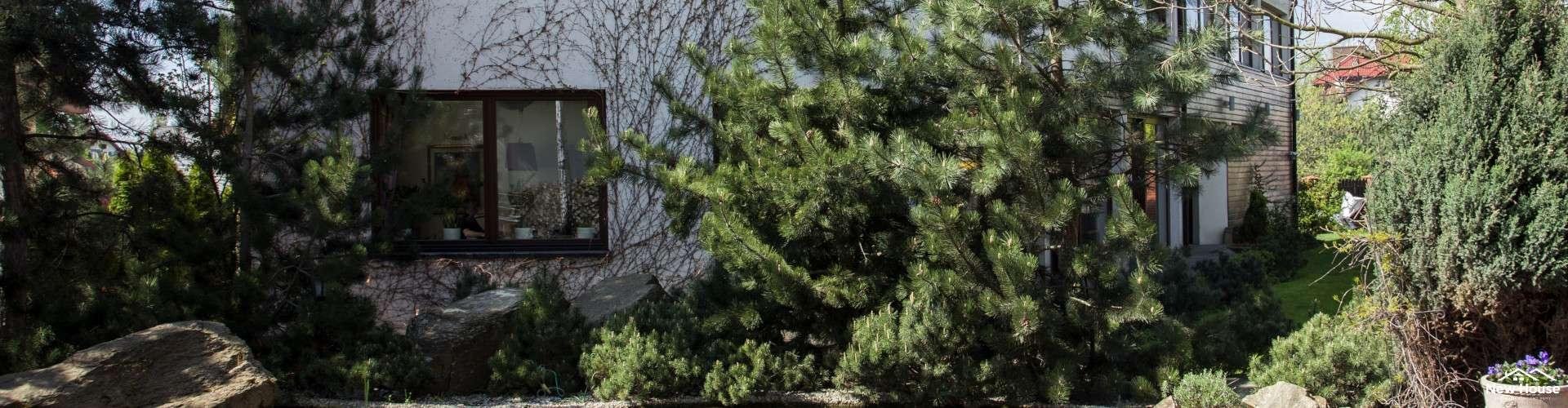 Domy do 250 m2  - gotowe projekty z kosztorysem