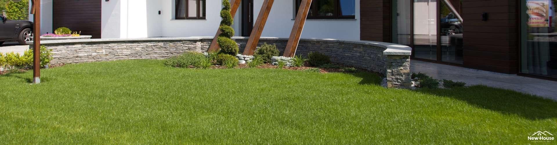 Zakładanie trawnika krok po kroku. Jak wyhodować piękną trawę?