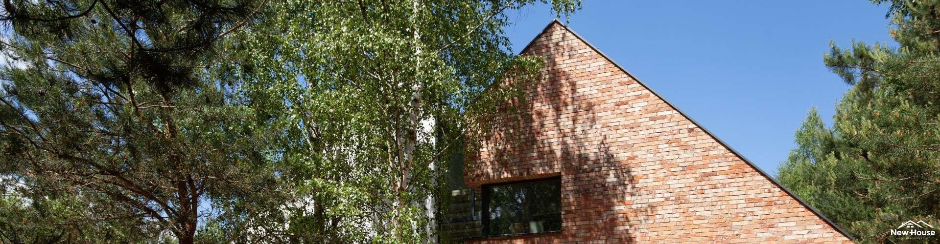 Nowoczesny dom stodoła – czym charakteryzują się te projekty?