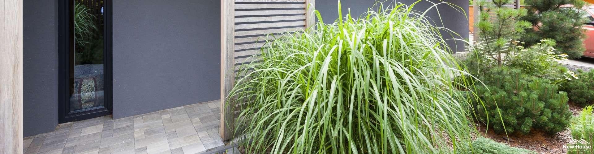 Jak rozpoznać dobry pellet ?