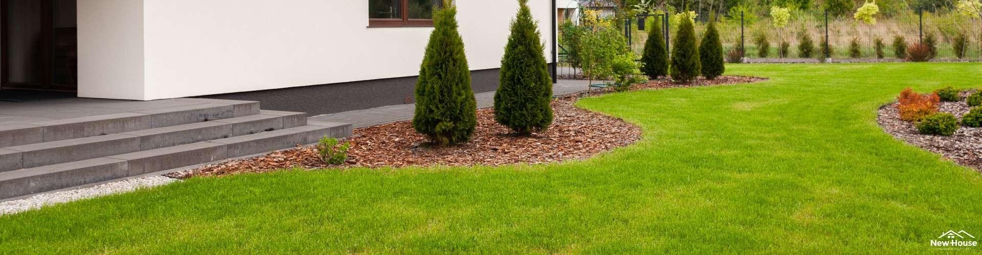 Pielęgnacja trawnika w ciągu roku