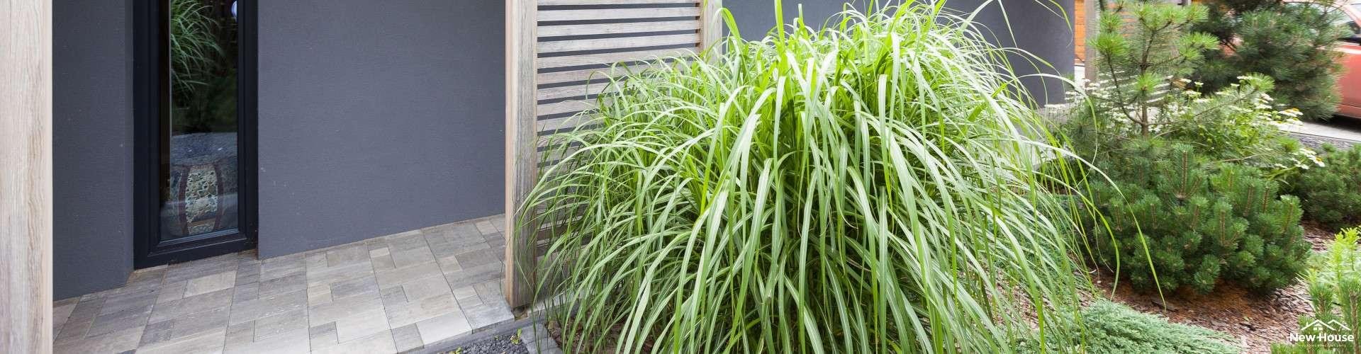 Dom z paneli SIP – na czym polega budowa w tej technologii?