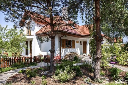 Czym jest i co zawiera projekt zagospodarowania działki ?