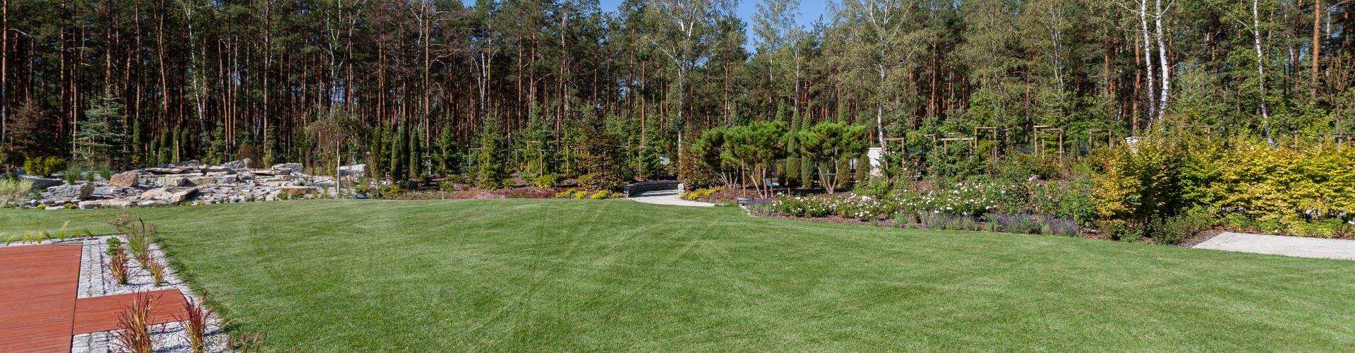 Jak zbudować szklarnię ogrodową? Na co zwrócić uwagę?