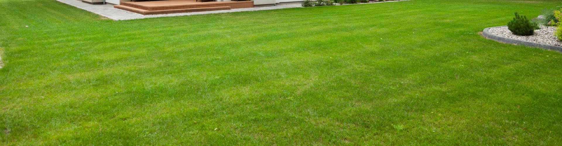 Najpopularniejsze rodzaje stropów w domach jednorodzinnych