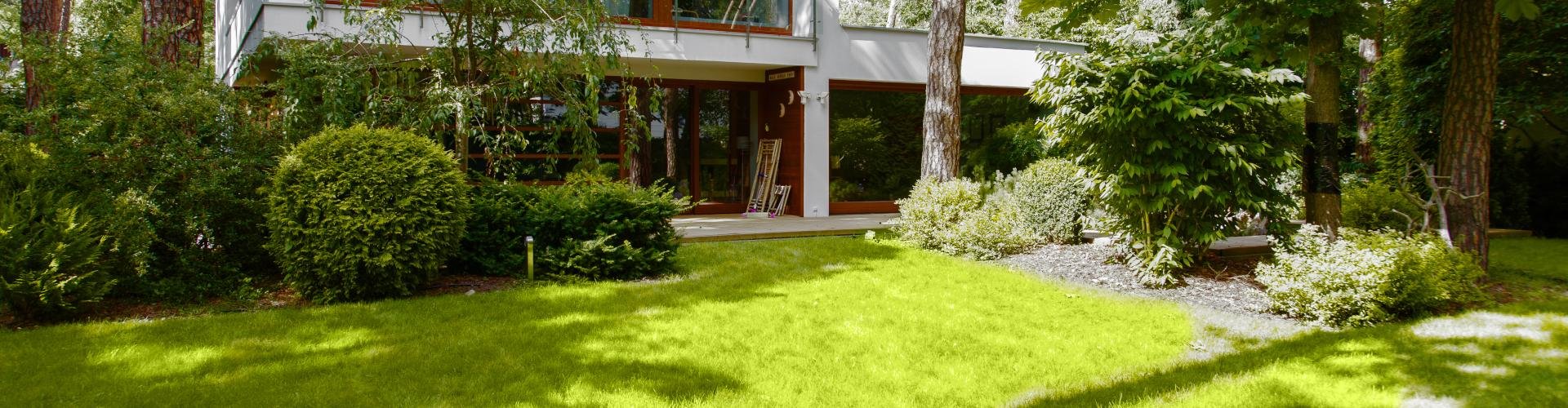 warianty willa floryda