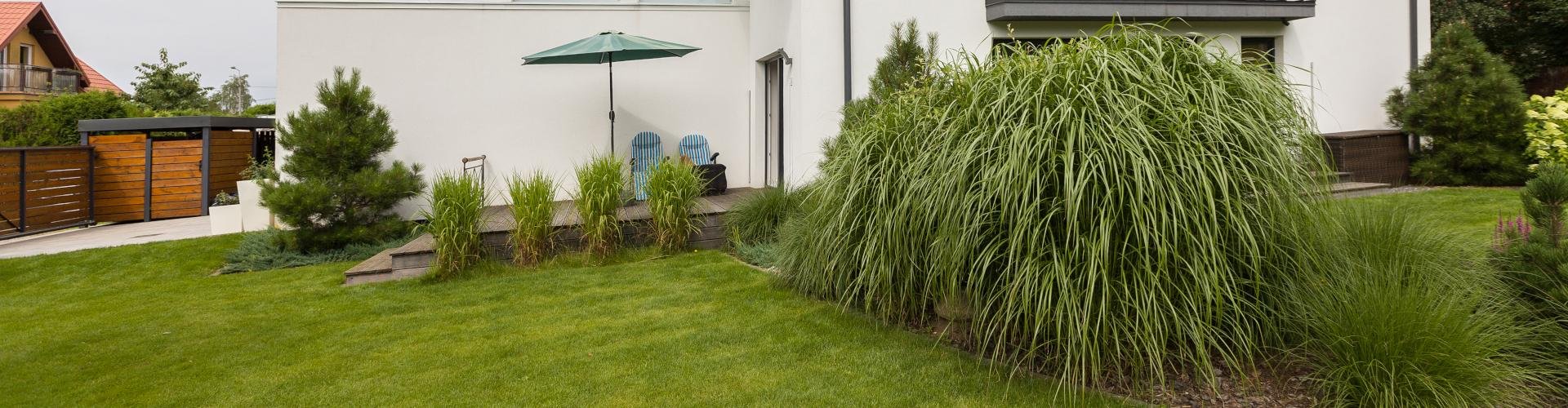 New-House - Czy warto kupić działkę rolną?