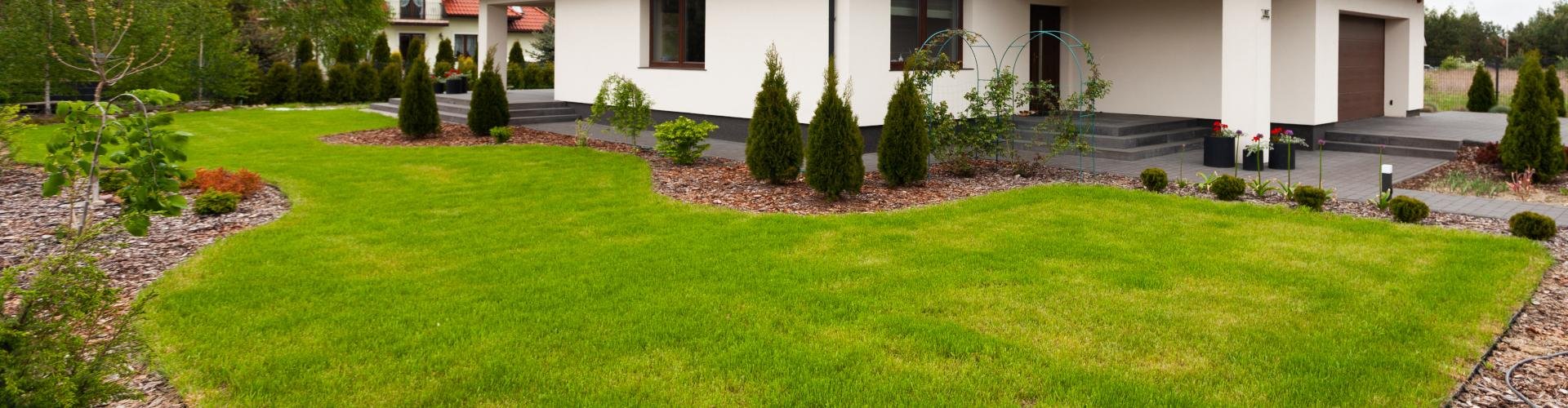 wybór działki z New-House