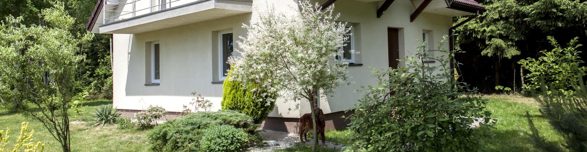 New-House - Projekty domów parterowych bez garażu – ciekawe propozycje