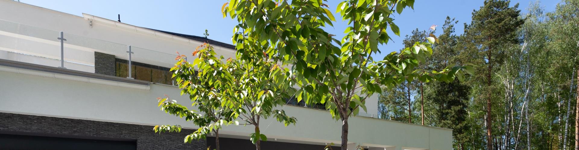 New-House - Gotowy projekt budynku biurowego - co zawiera?