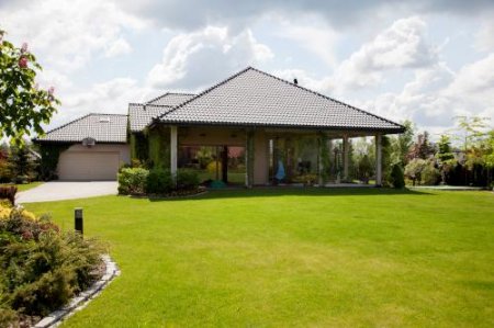 New-House - Wycinka drzew na działce rolnej