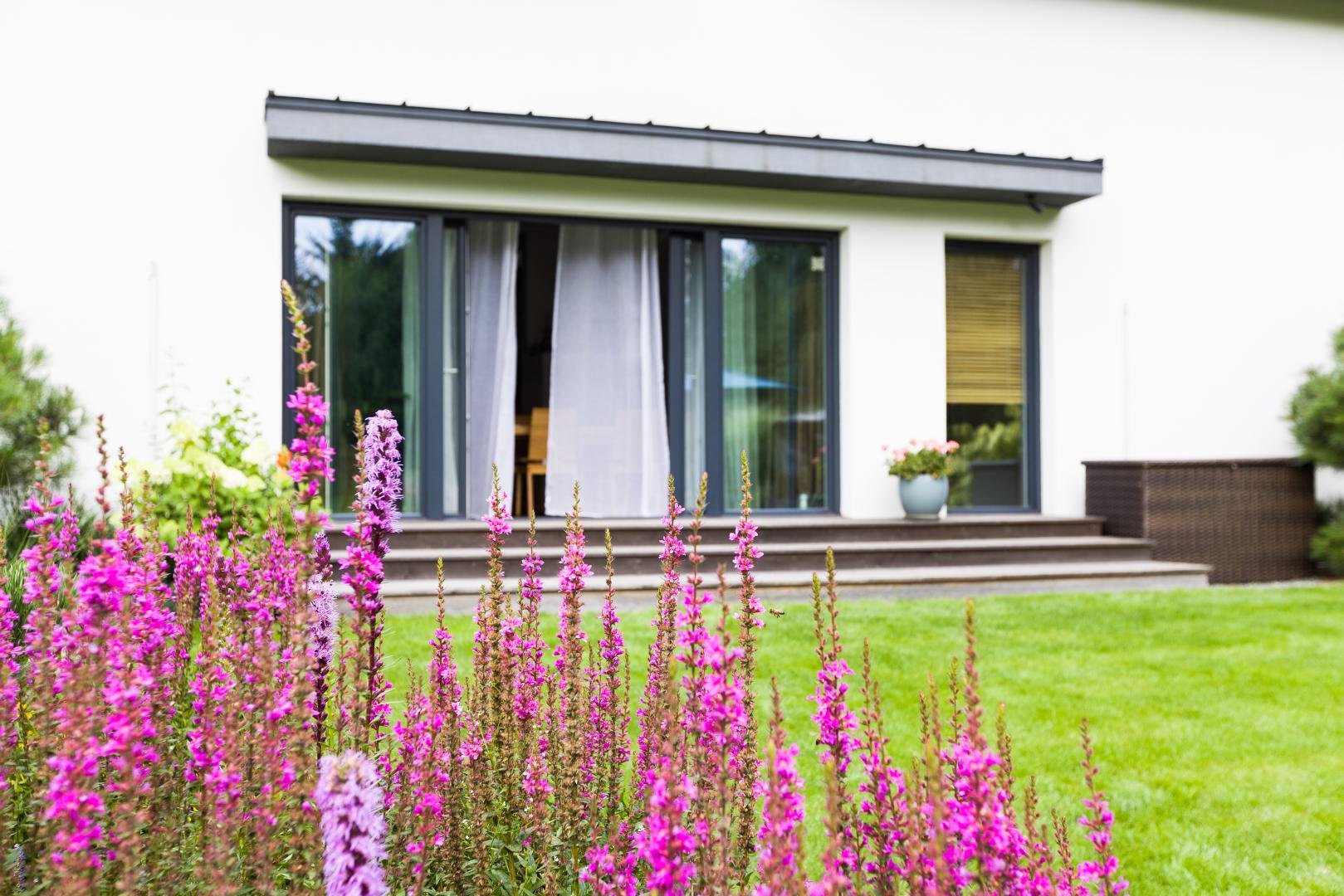 New-House - Jak zabezpieczyć okna podczas remontu?