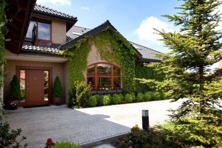 Rodzaje i właściwości posadzek dekoracyjnych