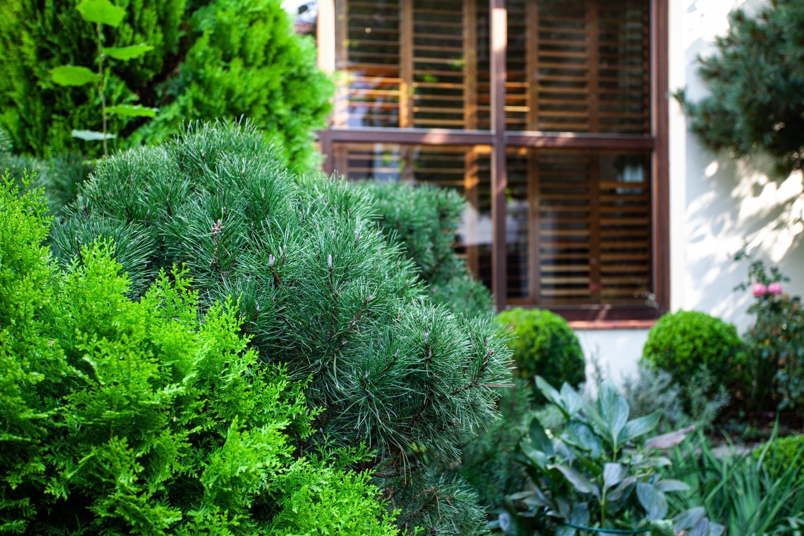 Zagospodarowanie terenu przy budynku biurowym