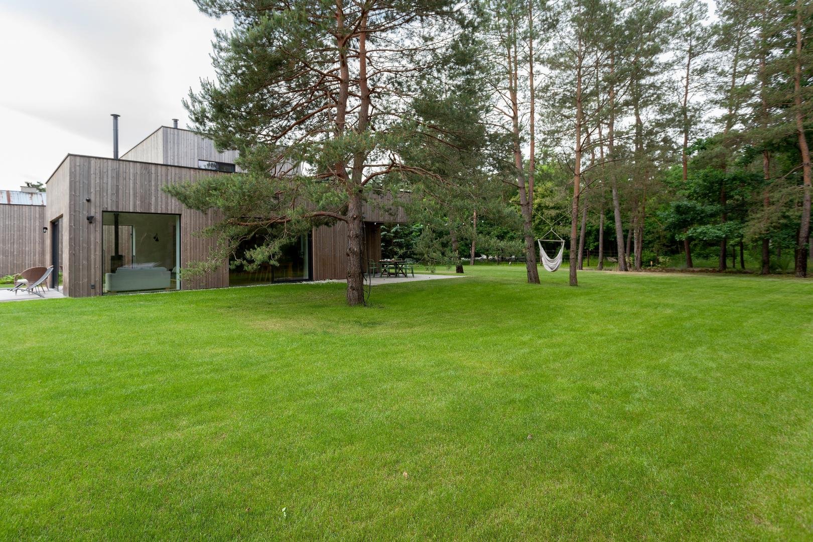 Zrównoważony krajobraz: tworzenie ogrodów przyjaznych dla środowiska