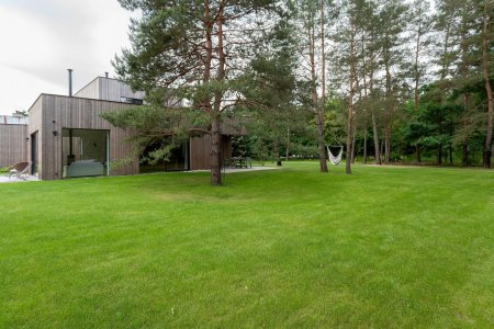 Zrównoważony krajobraz: tworzenie ogrodów przyjaznych dla środowiska