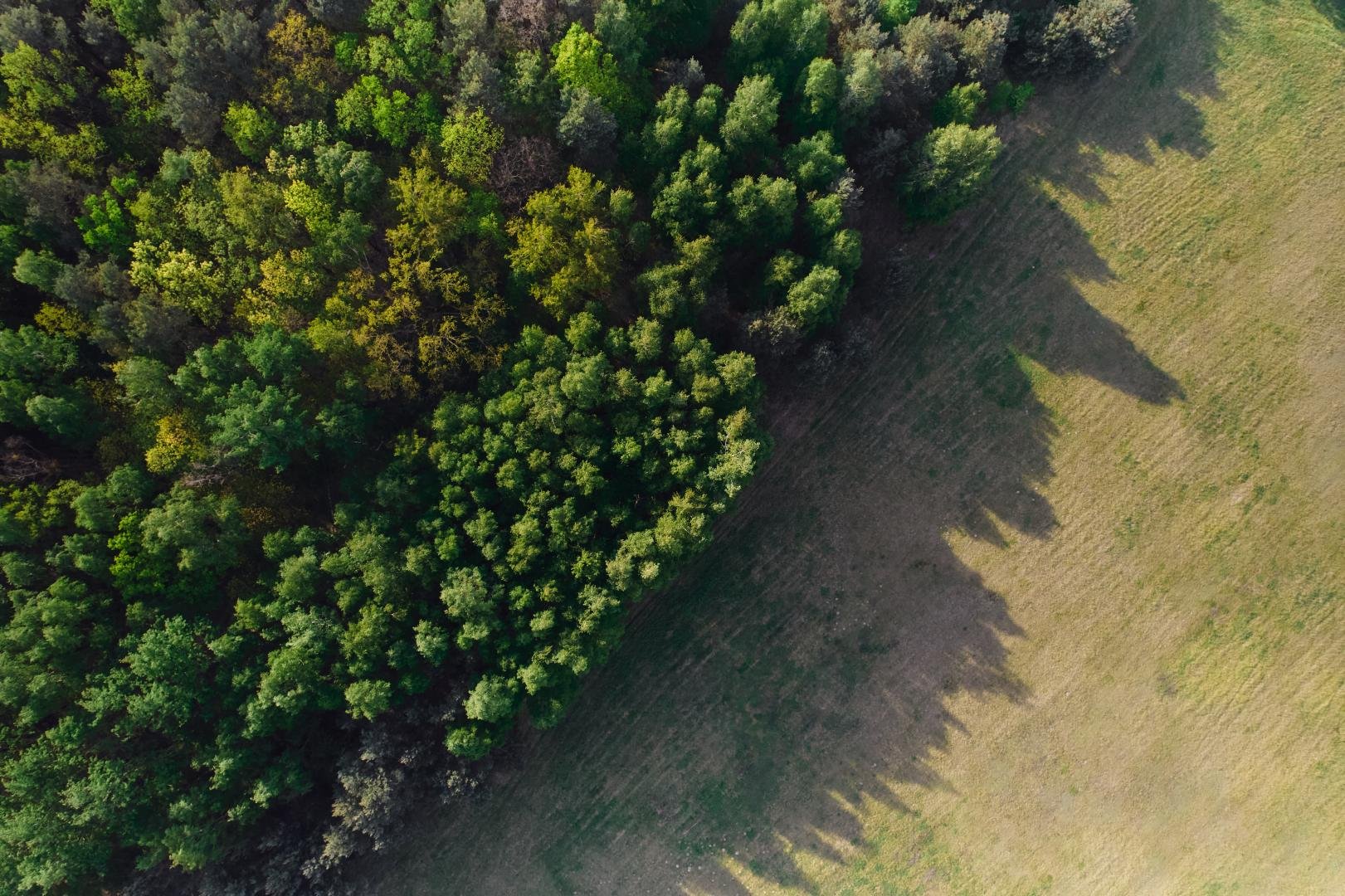 Co to jest wskaźnik intensywności zabudowy? Do czego jest nam potrzebny?