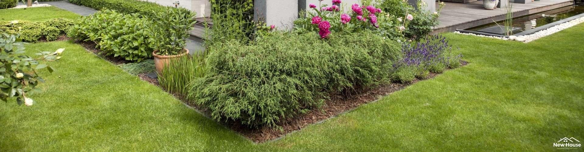 Dom pasywny z drewna czy z cegły? Czy są różnice w energooszczędności? 