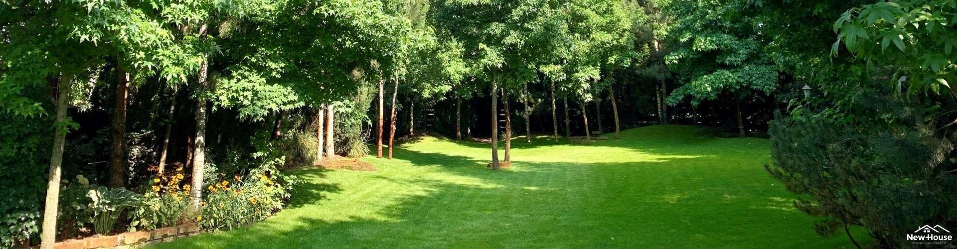 Jakie przepisy regulują wycinkę drzew pod budowę domu?