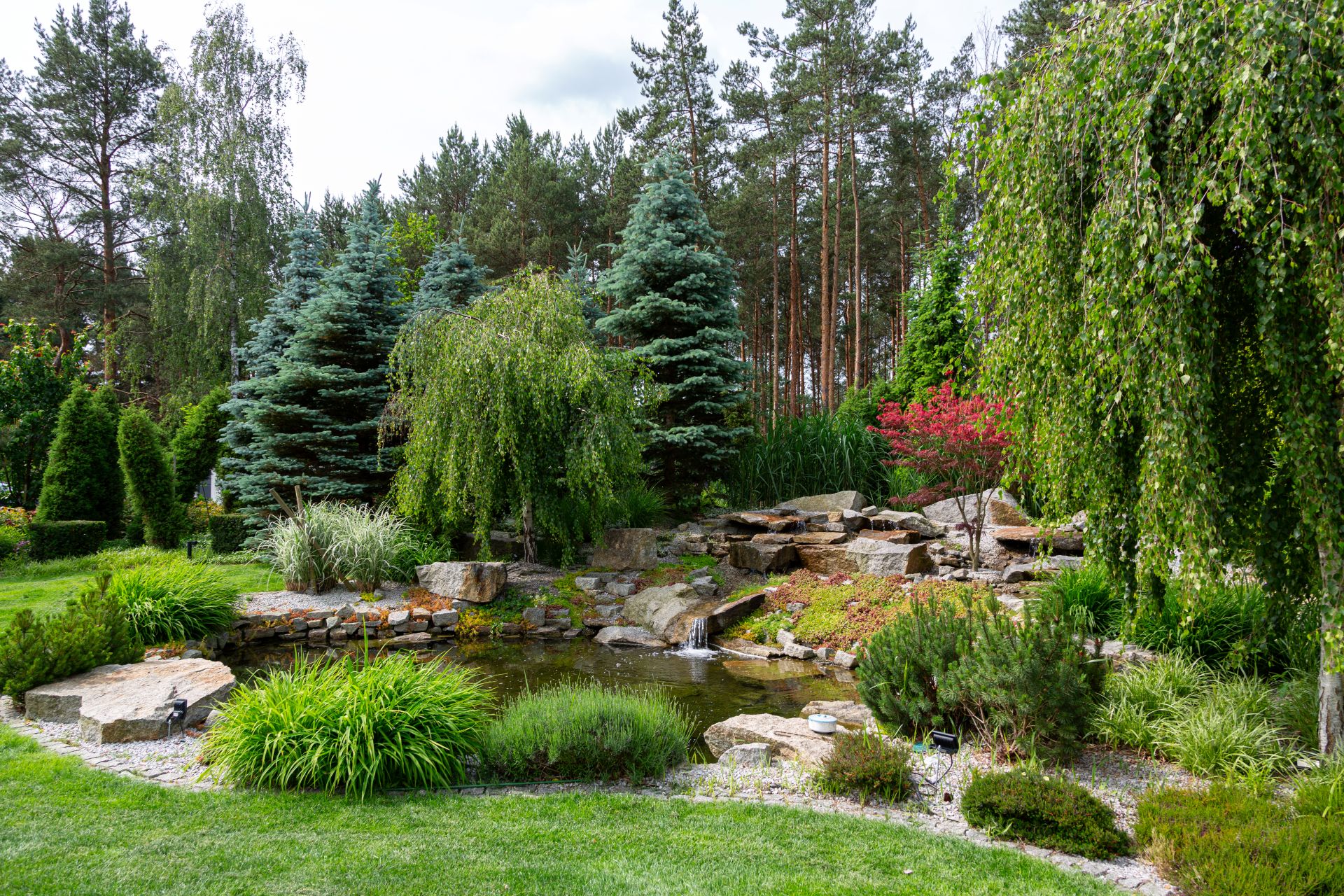 Ogród z oczkiem wodnym, kaskadą z kamieni i dużymi nasadzeniami, ilustrujący koszty wykończenia otoczenia domu często pomijane we wstępnym kosztorysie.
