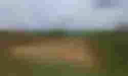 Wykopy - gmina Czosnów