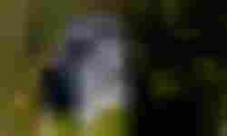 New House - realizacja-353