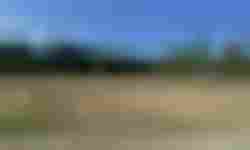 Duży dom w woj. mazowieckim