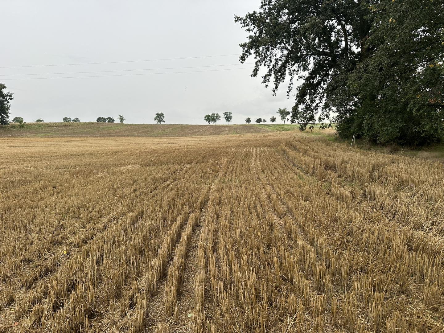 Dobroszów - dolnośląskie