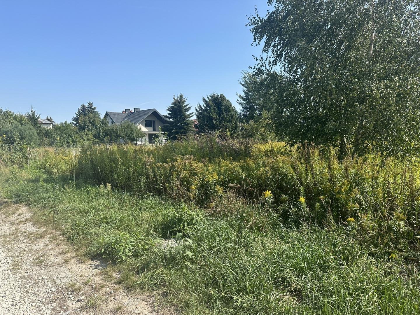 Janów k. Babice Stare