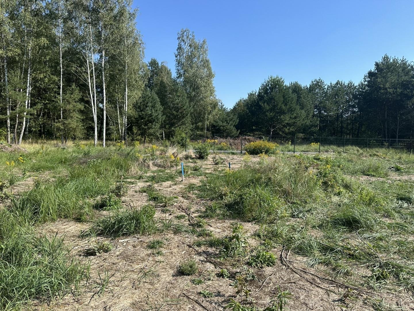 Skierniewice - dom parterowy