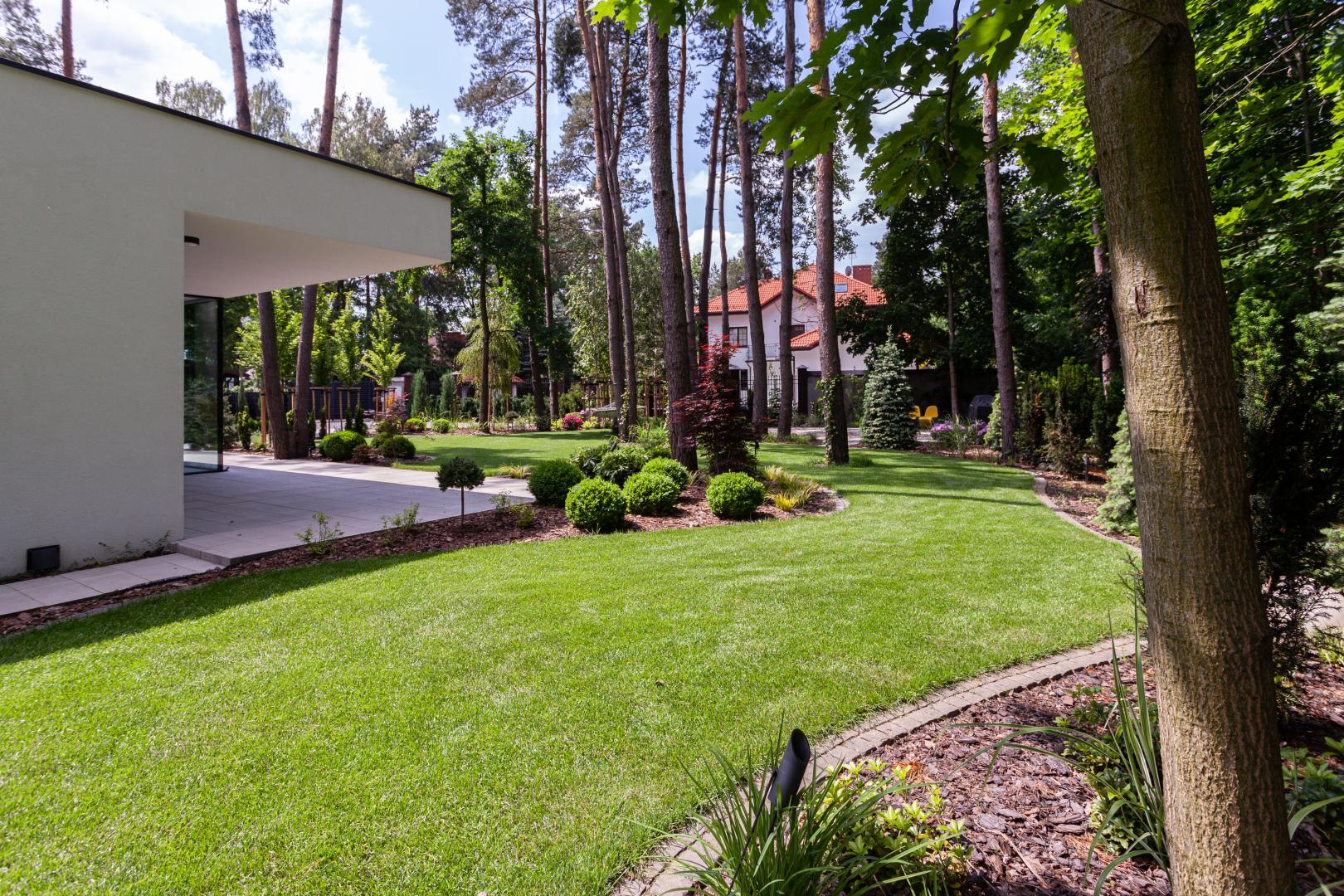 New-House - Zagospodarowanie terenu