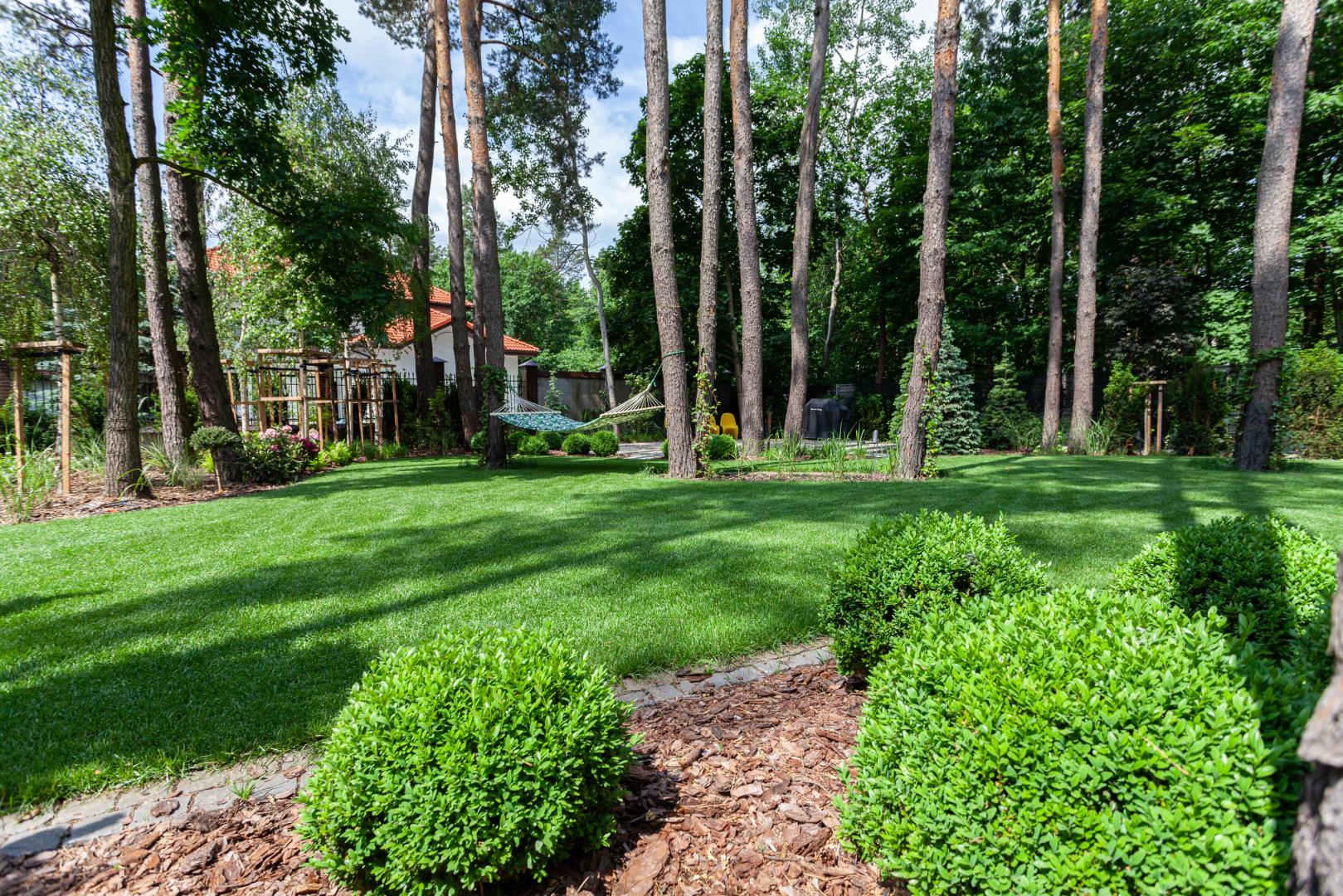 Zagospodarowanie terenu