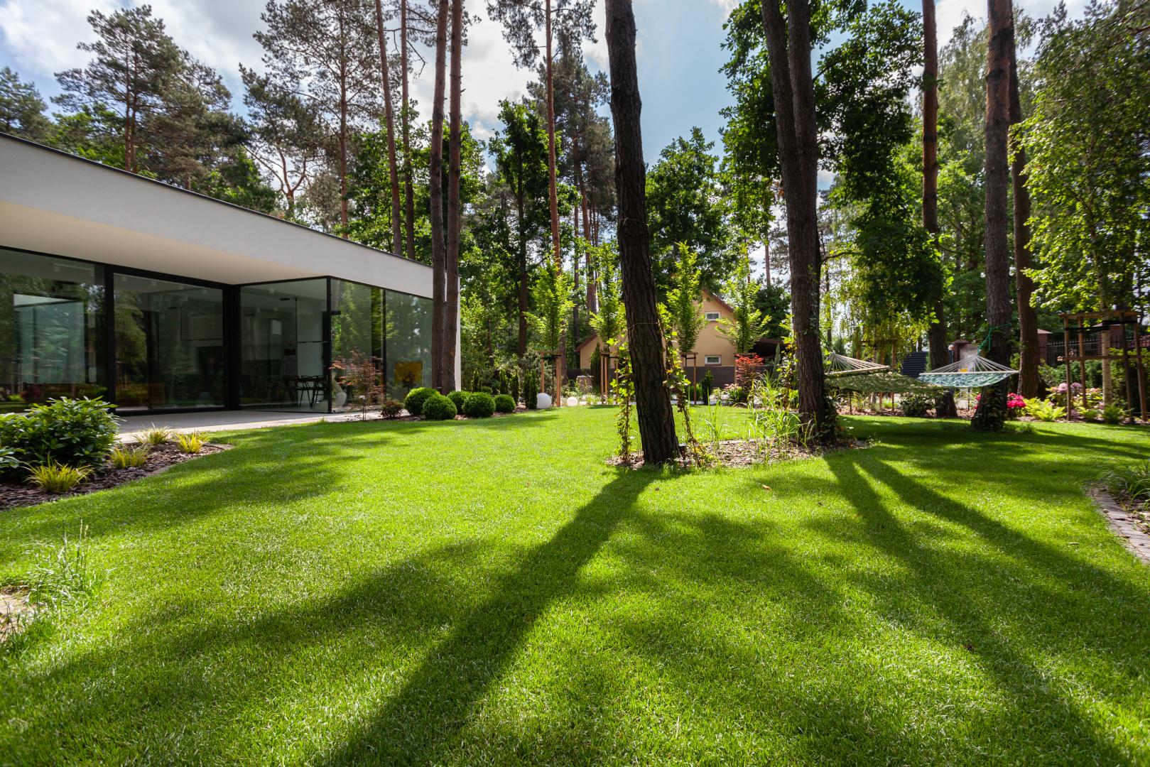 Zagospodarowanie terenu - New-House