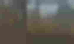 Konstancin - Ceglana