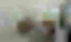 New House - realizacja-433