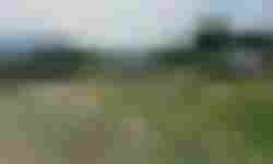 Płock-Borowiczki Cukrownia