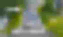 New House - realizacja-483