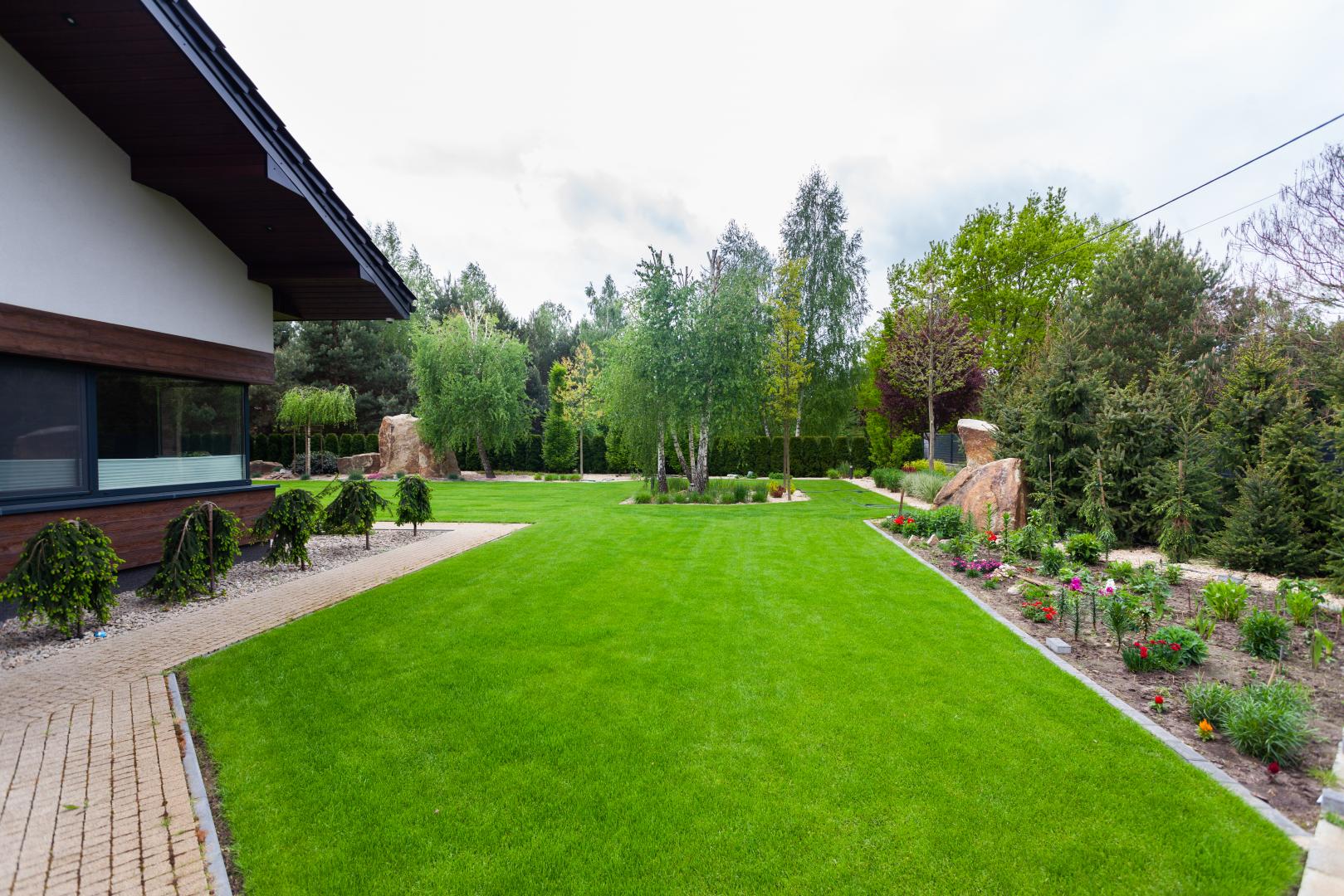 New-House - zagospodarowanie terenu