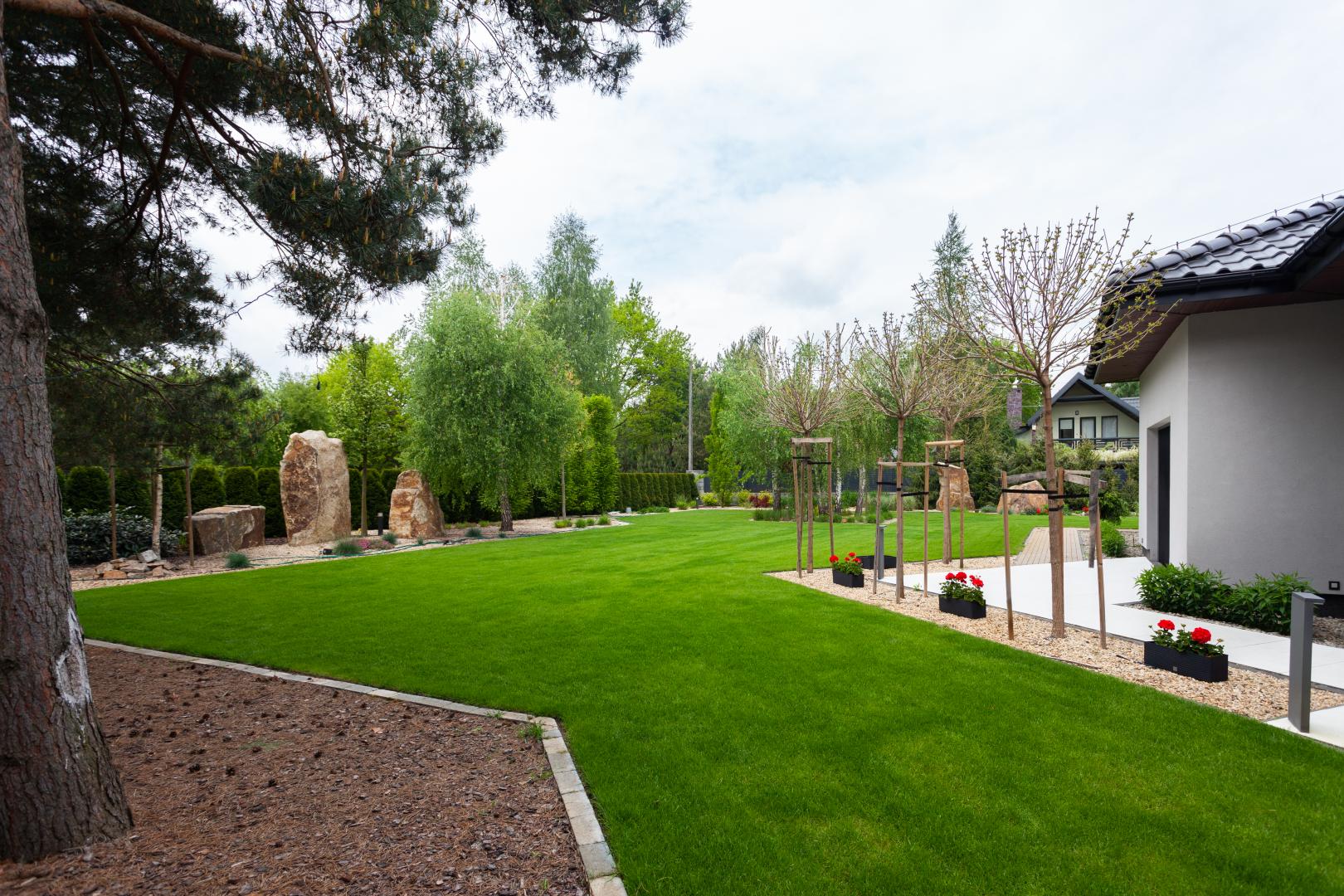 Zagospodarowanie terenu - New-House