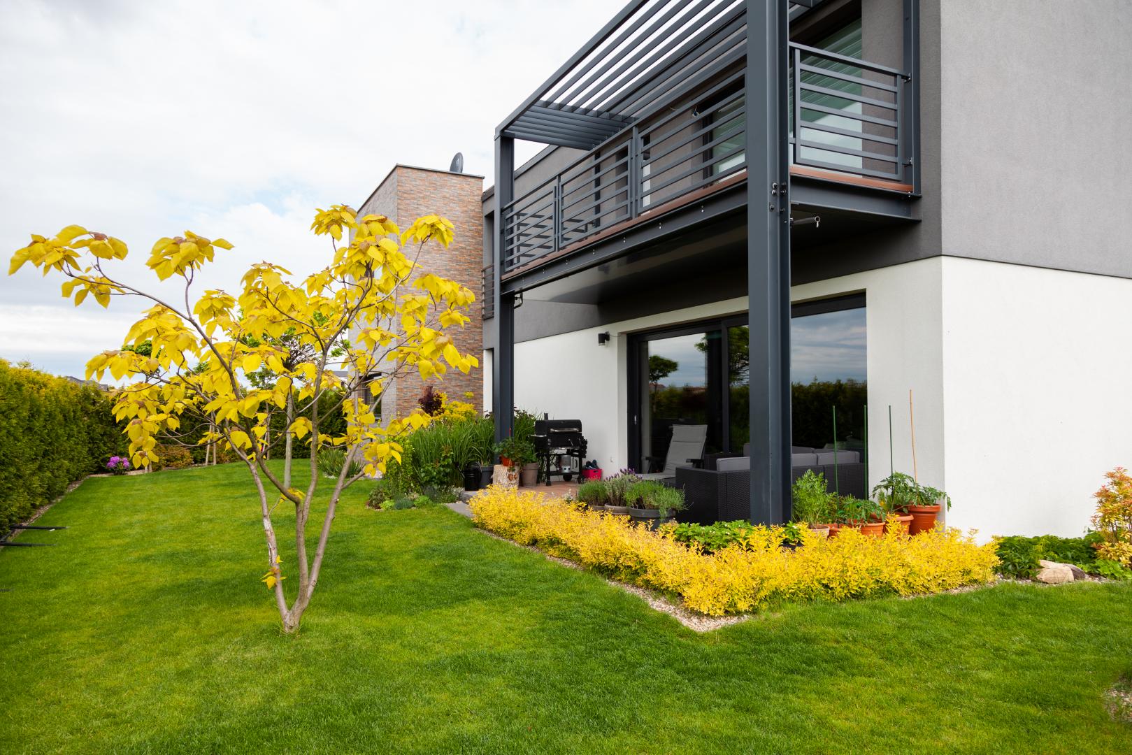 Projekt indywidualny