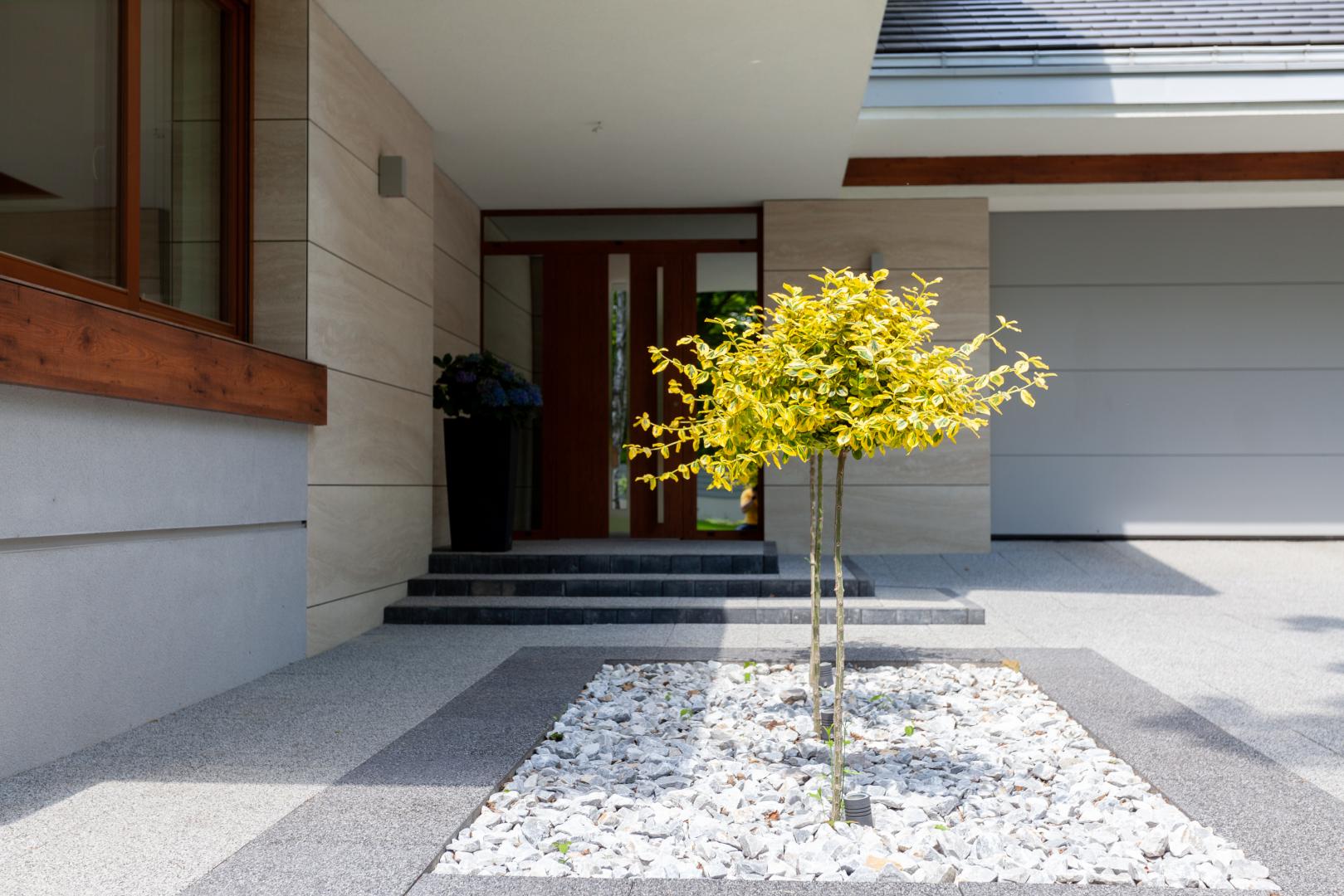 Wejście główne - projekt Dom z widokiem wariant C